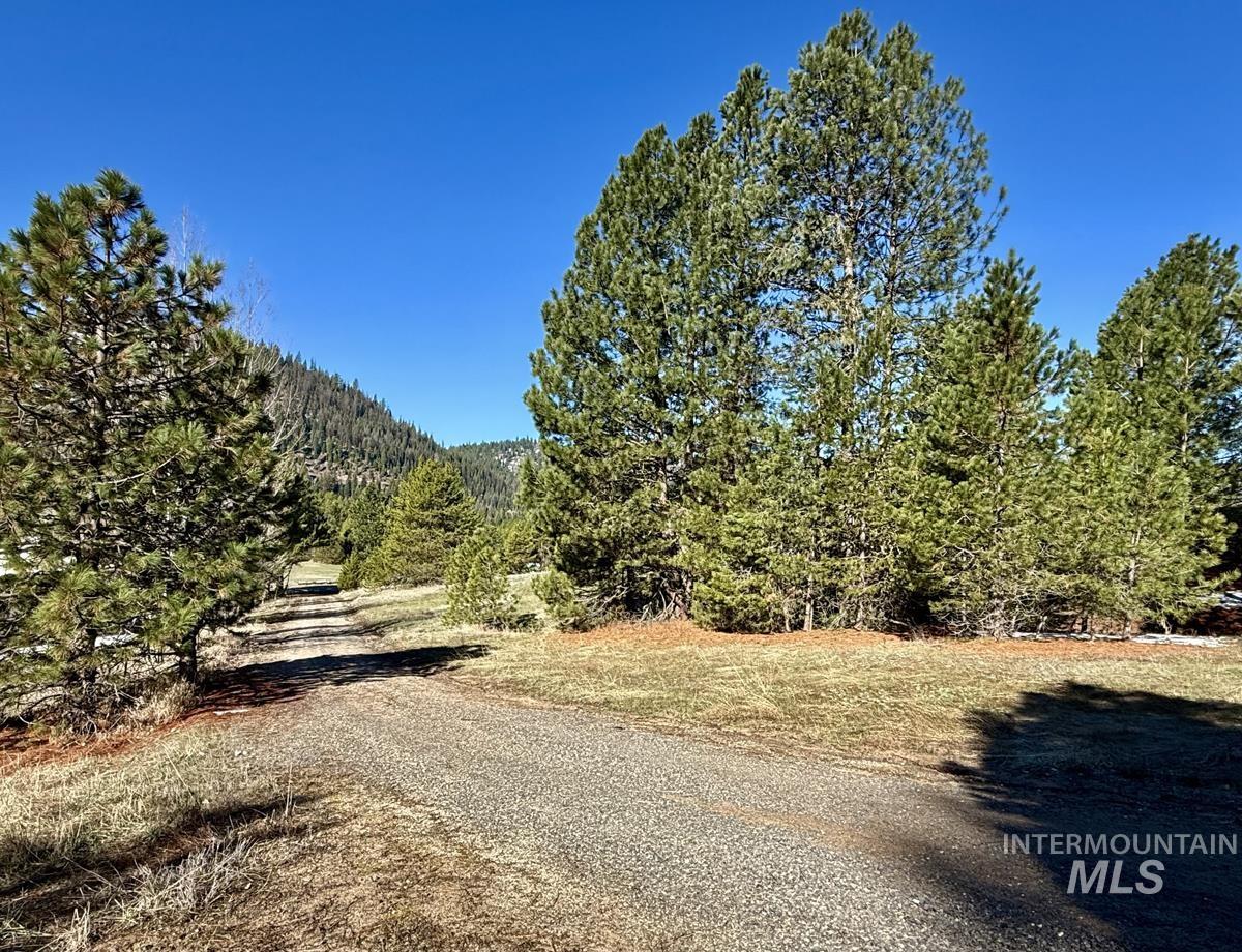 Ptn Lot 7 Packer John Road Cascade, ID 83611 - Photo 11 of 16