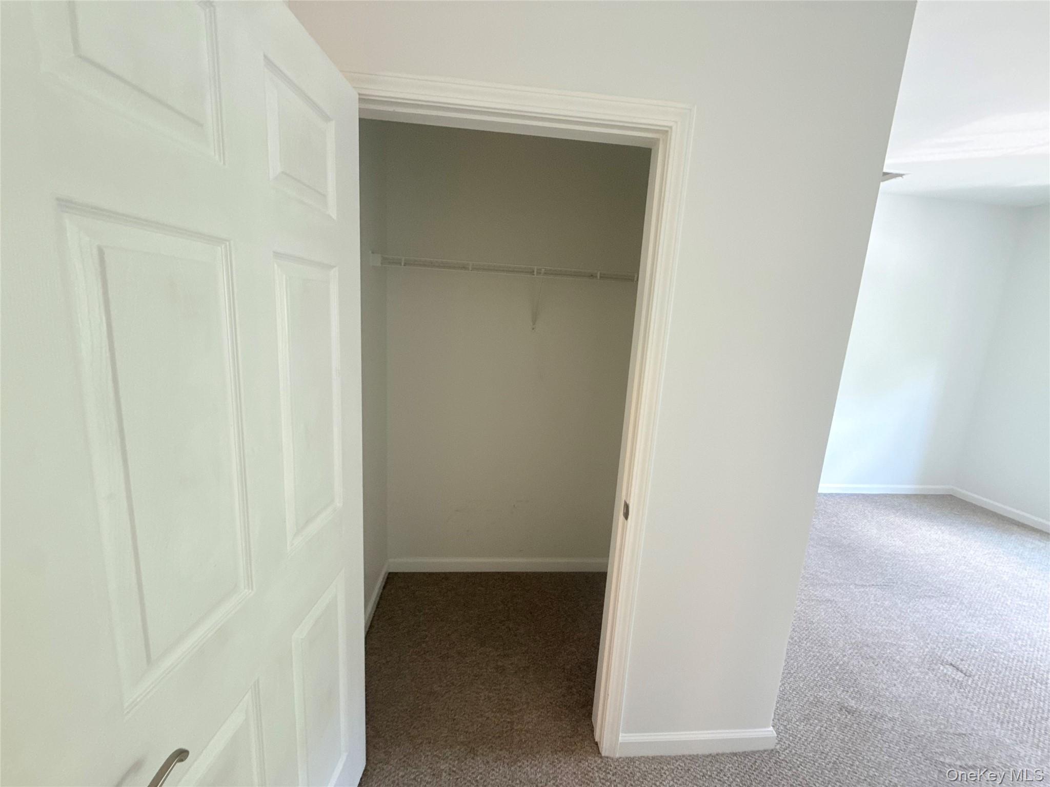 935 Tower Ridge Circle Middletown, NY 10941 - Photo 3 of 24 Closet space featuring a built-in wire shelf and rod, complemented by neutral carpeting and white trim