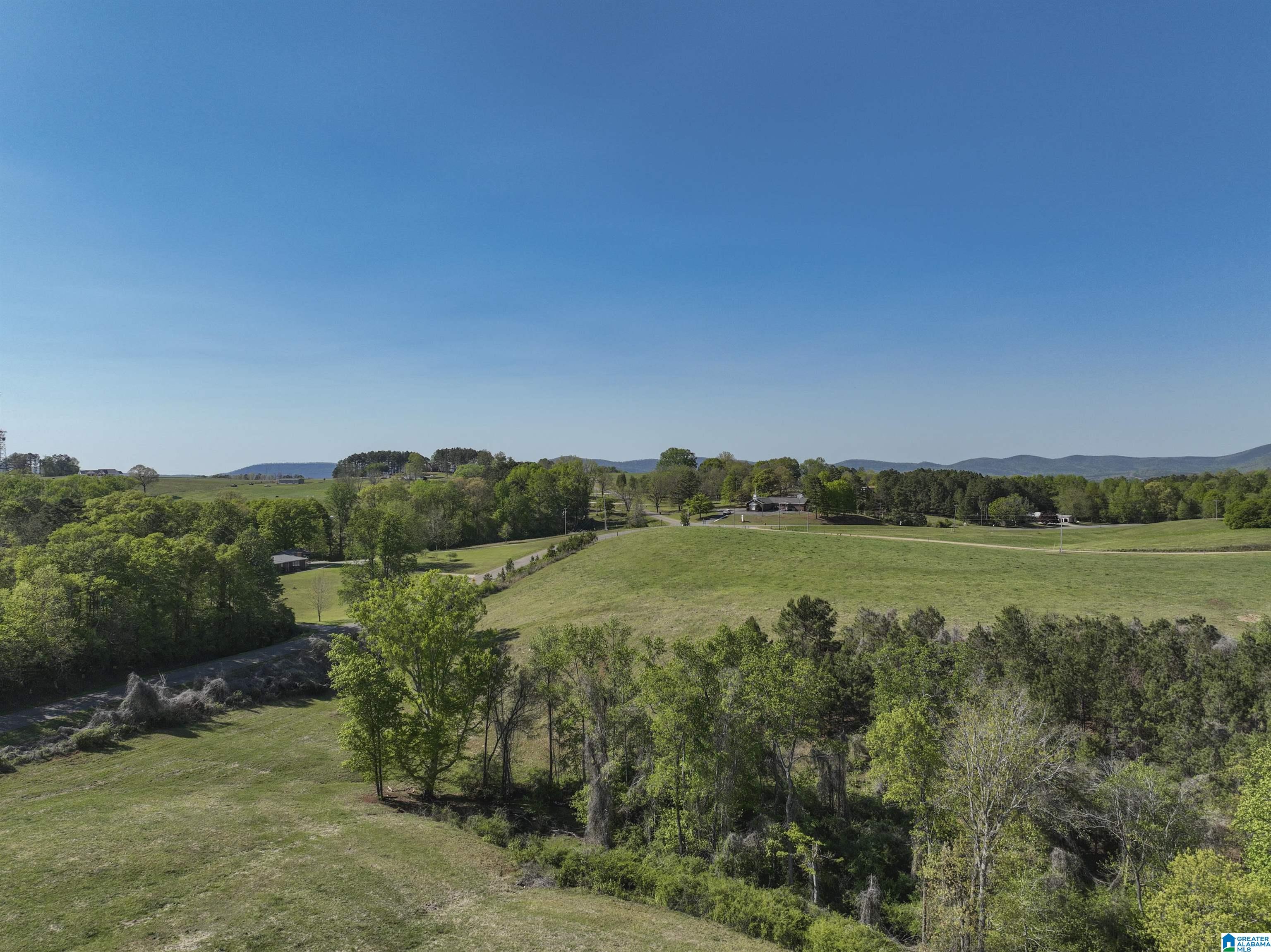 130 Kelly Road Ashland, AL 36251 - Photo 45 of 66
