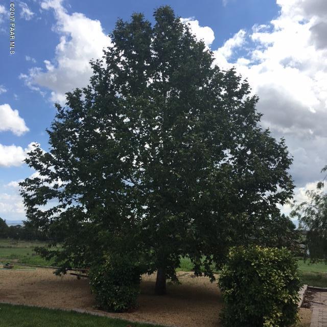 255 South Reed Road Chino Valley, AZ 86323 - Photo 30 of 50 Mature Trees