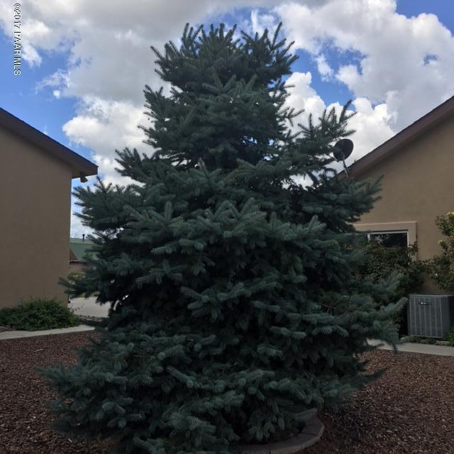 255 South Reed Road Chino Valley, AZ 86323 - Photo 31 of 50 Mature Trees