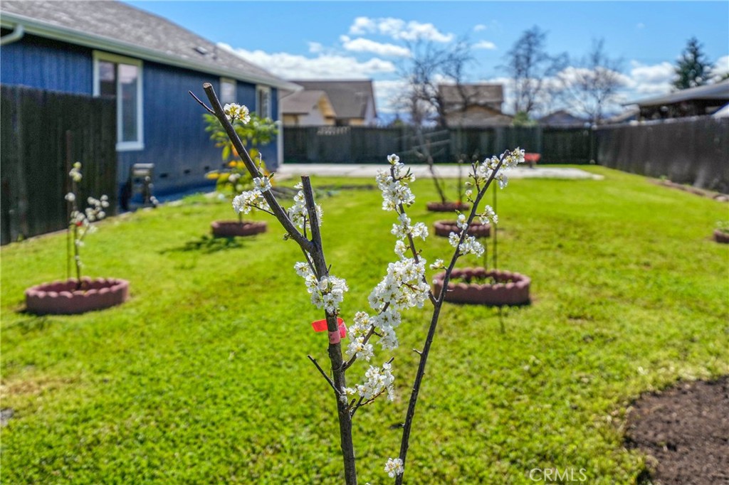 3483 Beach Street Nice, CA 95464 - Photo 34 of 40 a view of a backyard with plants and a patio