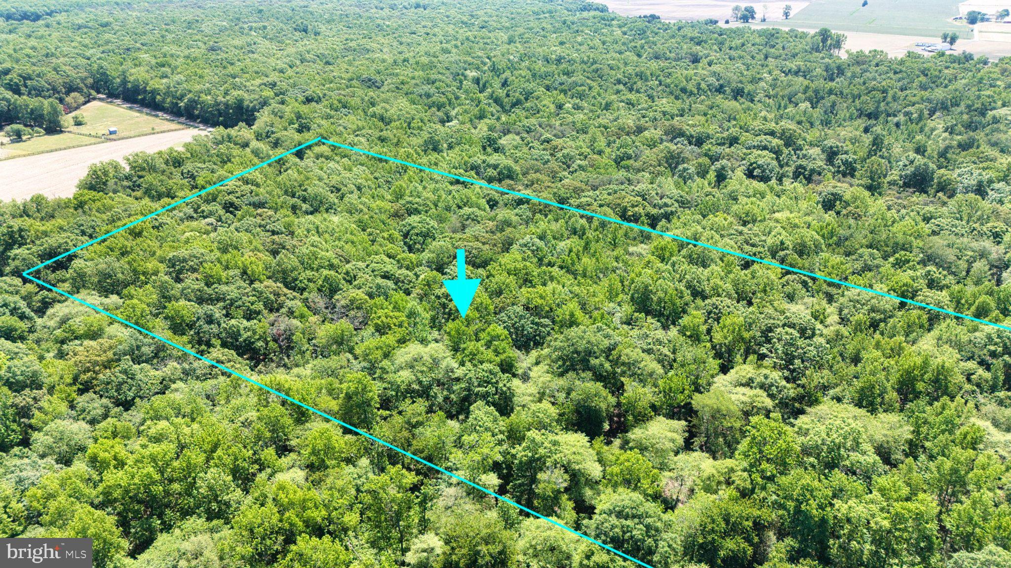 0 Trunk Road Henderson, MD 21640 - Photo 3 of 11 Expansive wooded retreat awaits you.