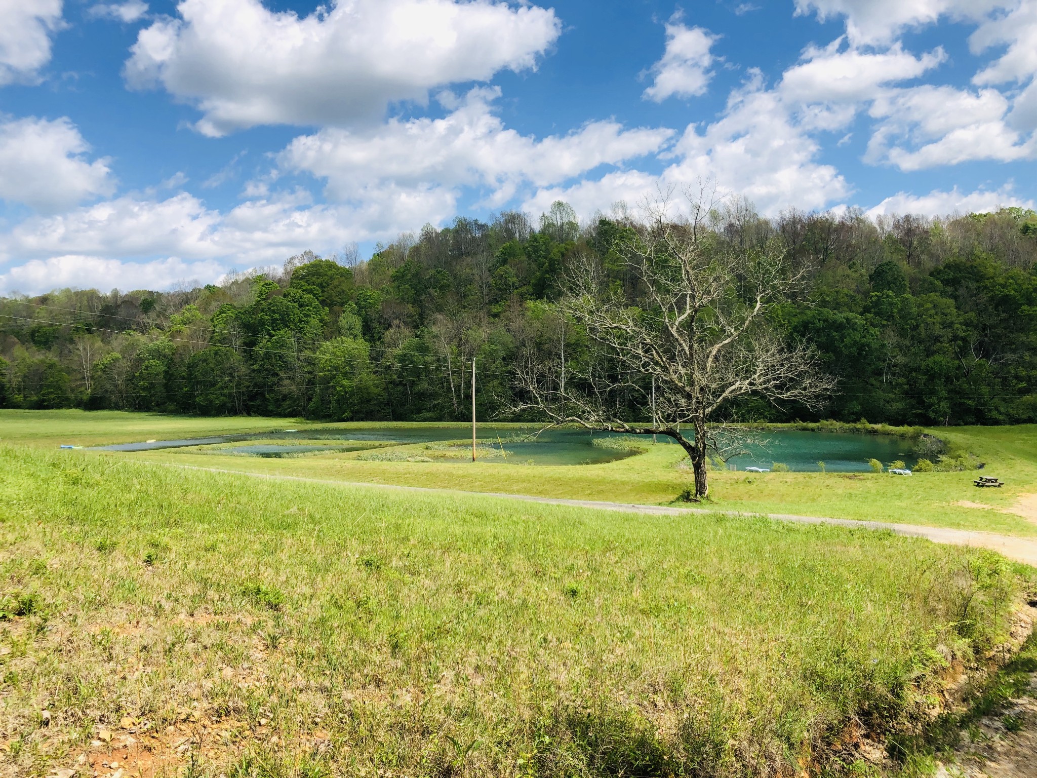 165 Deep C Lane Tennessee Ridge, TN 37178 - Photo 12 of 32 Gallery Image 12