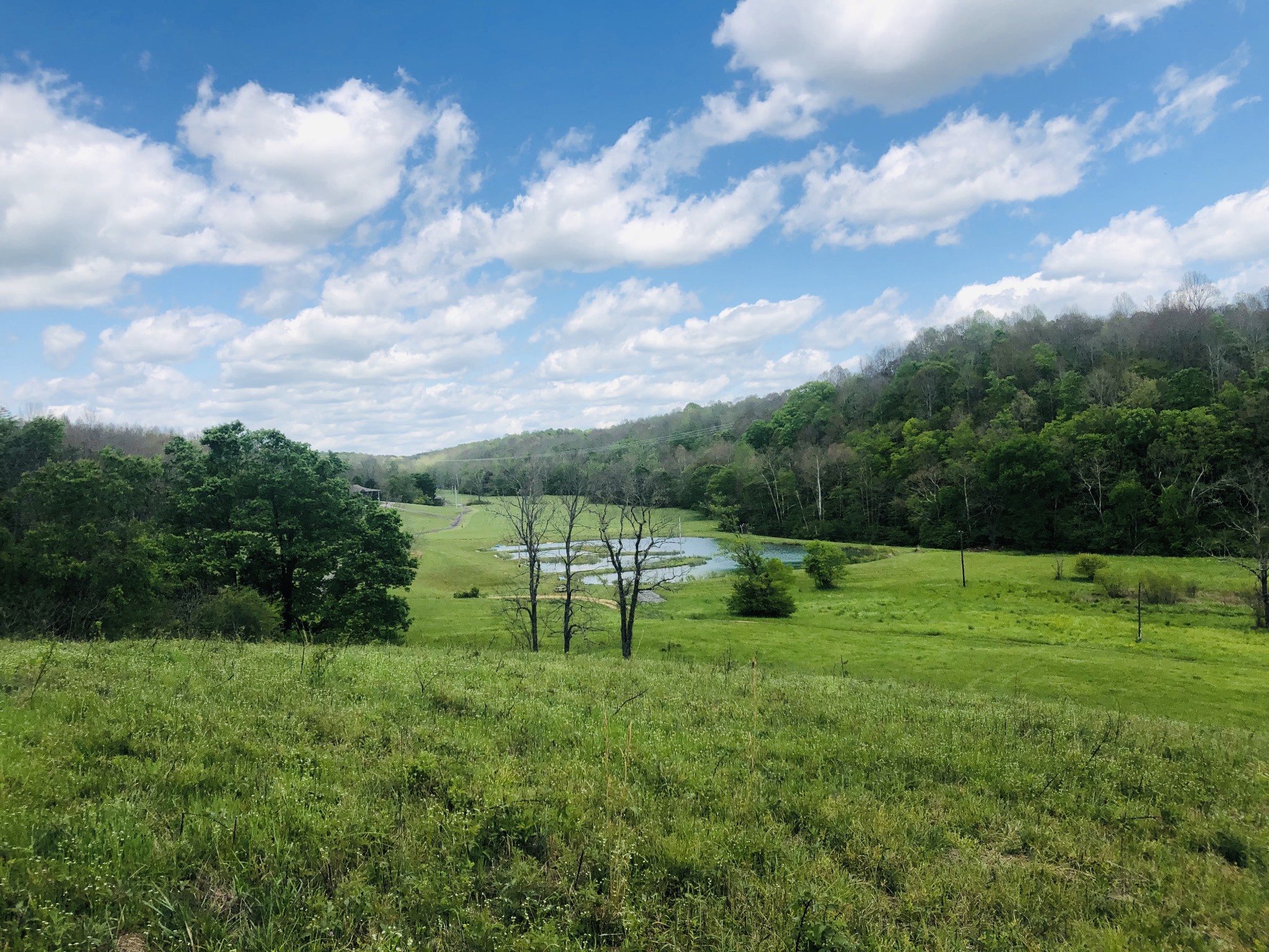 165 Deep C Lane Tennessee Ridge, TN 37178 - Photo 8 of 32 Gallery Image 8