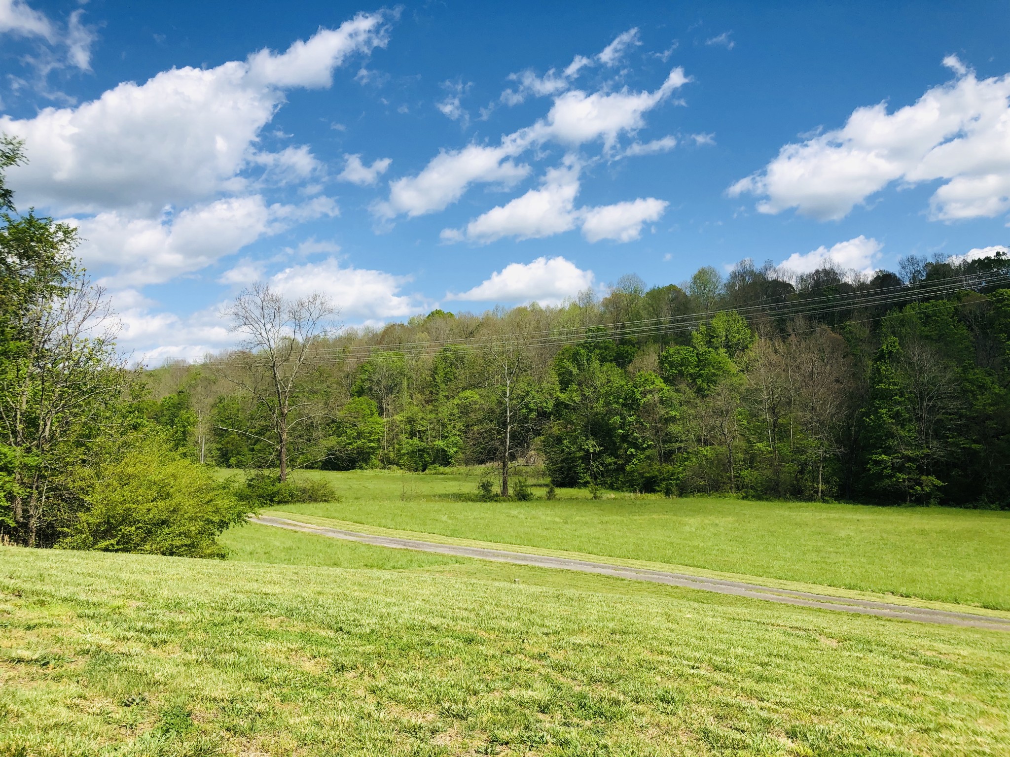 165 Deep C Lane Tennessee Ridge, TN 37178 - Photo 10 of 32 Gallery Image 10