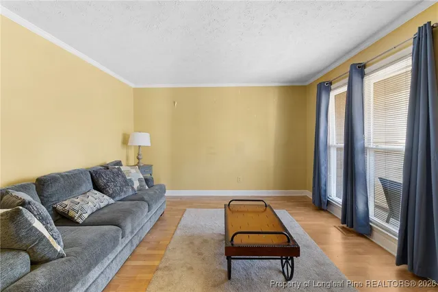 a living room with a couch and a rug