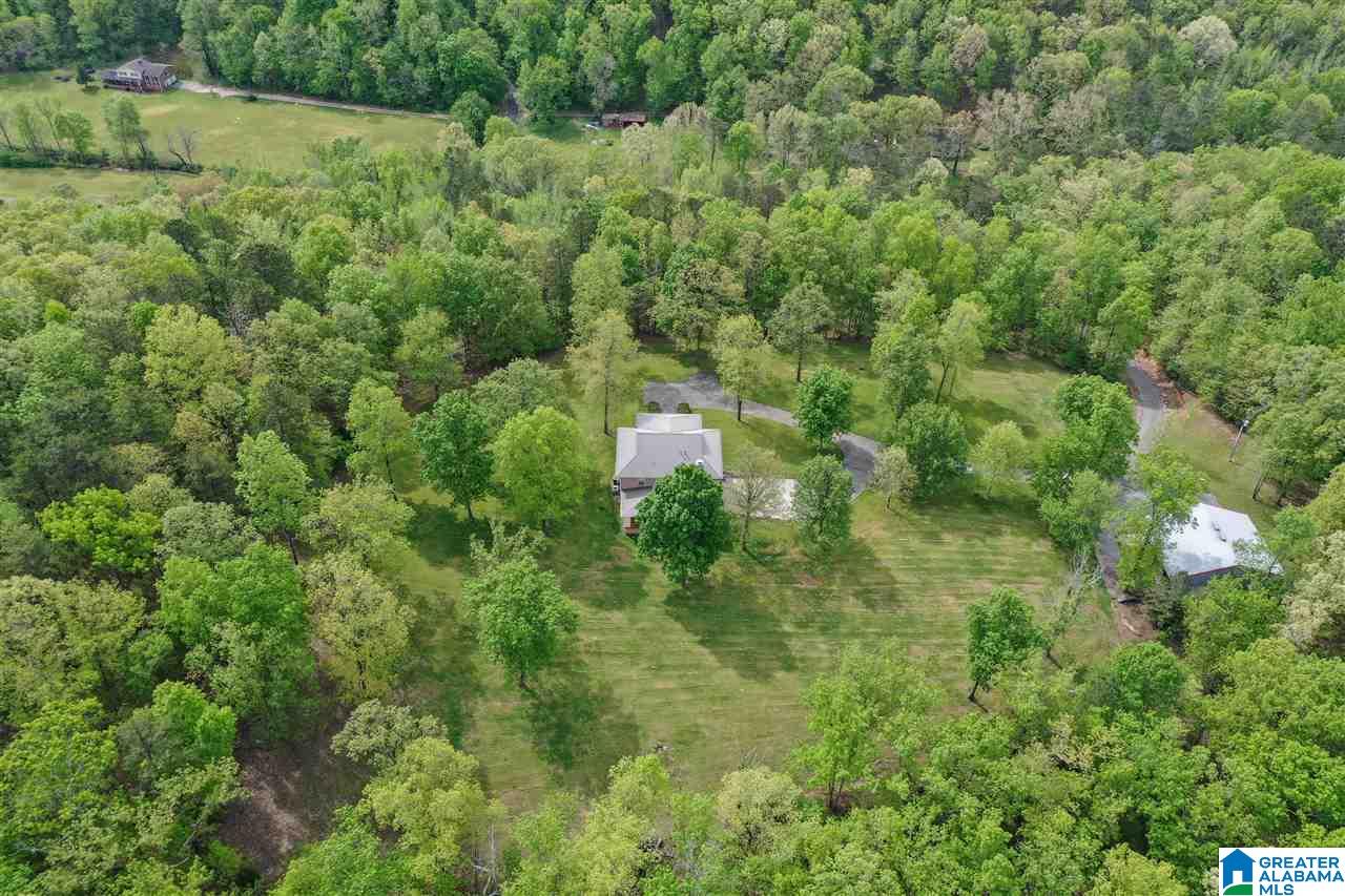 9235 Old Springville Road Trussville, AL 35173 - Photo 43 of 50