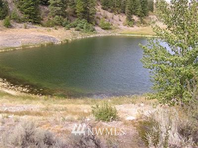 150 Seven Lakes Road Riverside, WA 98849 - Photo 1 of 1