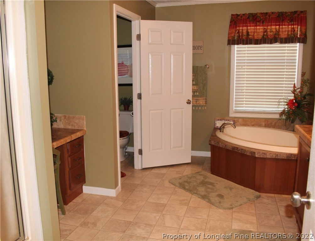 4023 Hoffman Road Jackson Springs, NC 27281 - Photo 14 of 22 a bathroom with a tub sink and shower