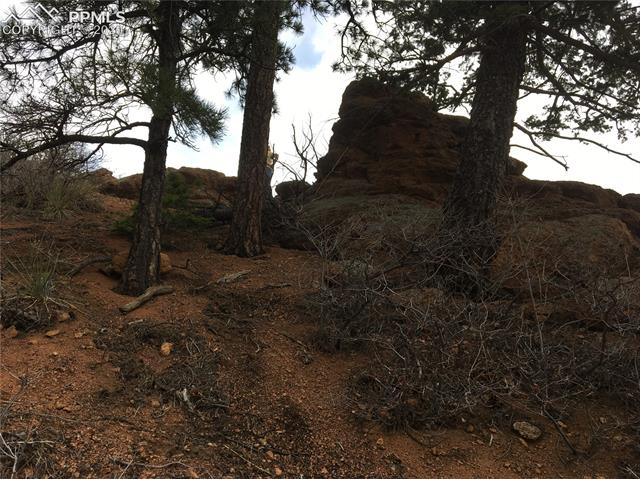 351 Day Spring View Manitou Springs, CO 80829 - Photo 16 of 19