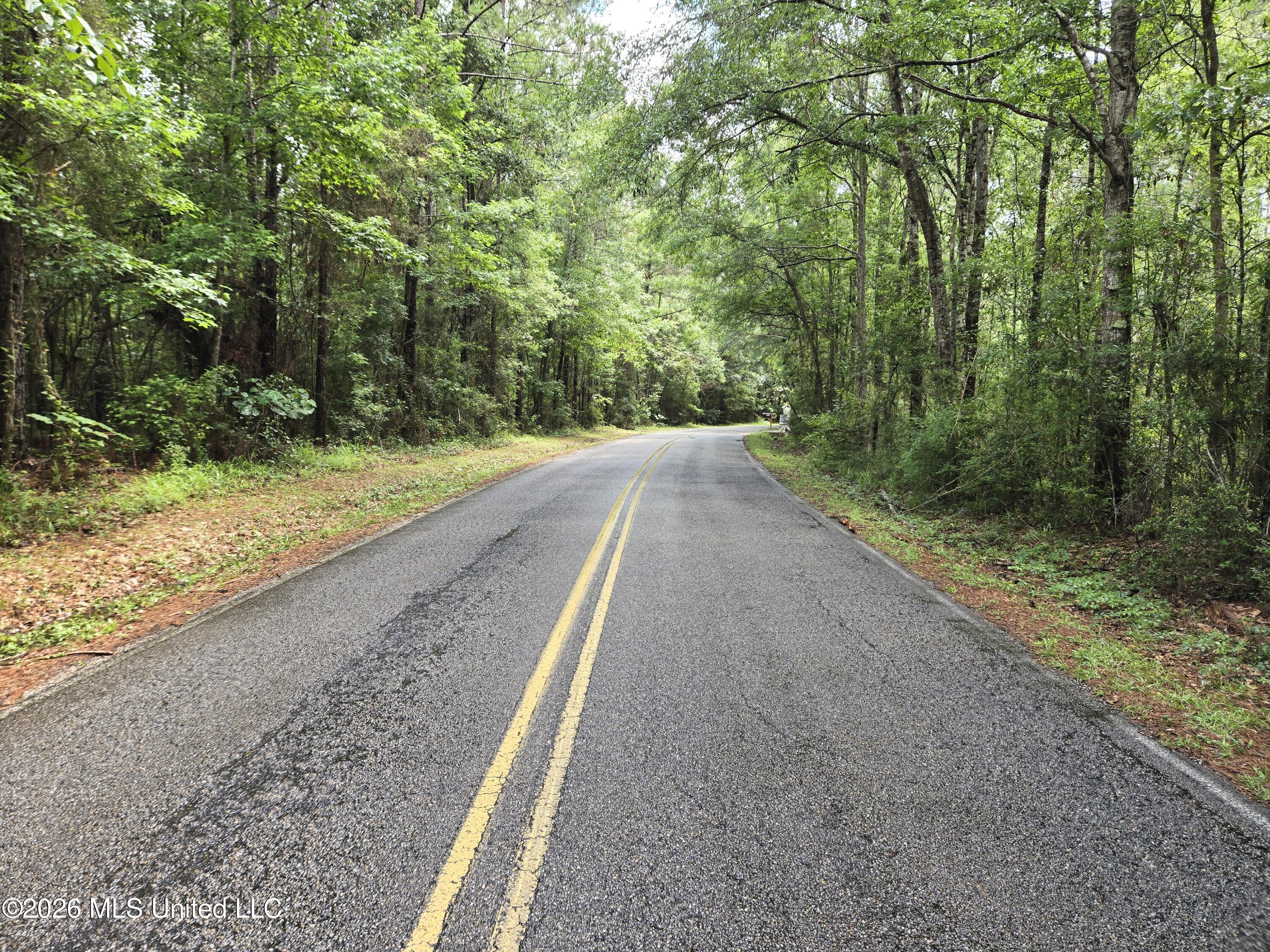 Harry Sones Road Carriere, MS 39426 - Photo 2 of 3 20260526_141444