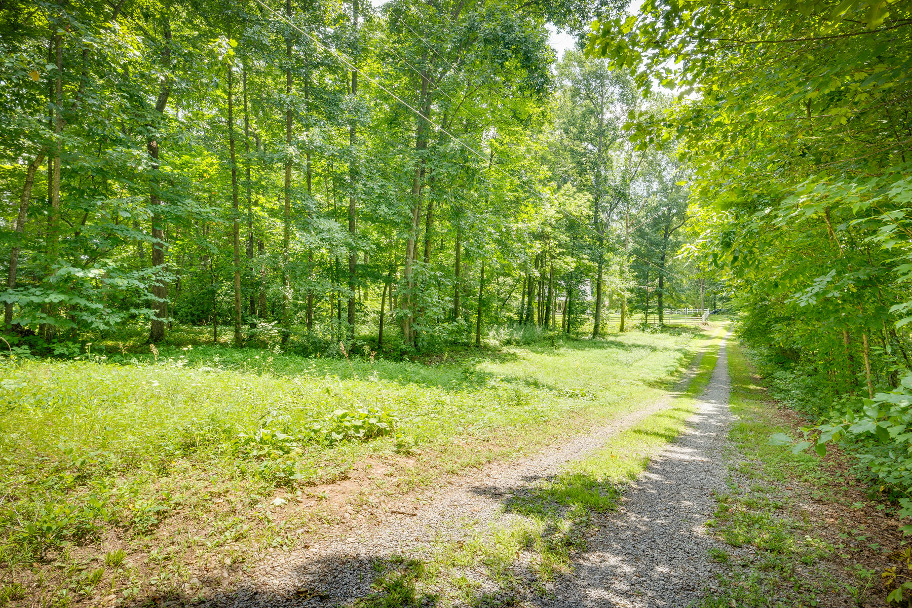 140 Painter Road Fall Branch, TN 37656 - Photo 45 of 45 045