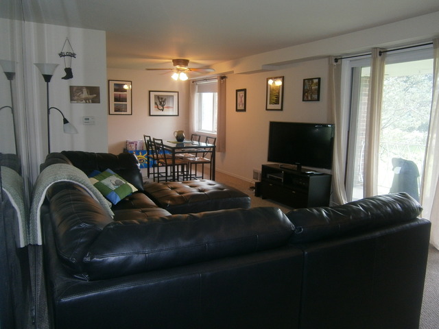 1102 Springinsguth Road, Unit 2D Schaumburg, IL 60193 - Photo 3 of 13