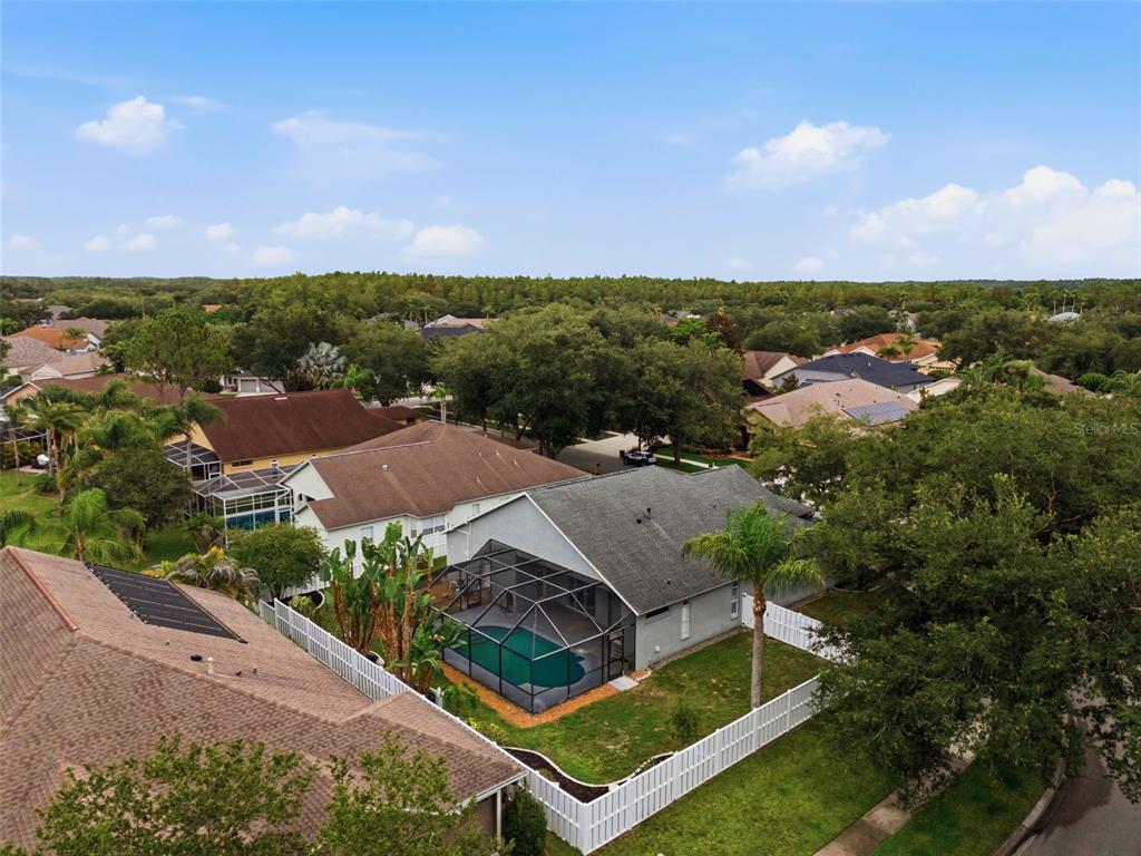 19348 Wind Dancer Street Lutz, FL 33558 - Photo 80 of 83