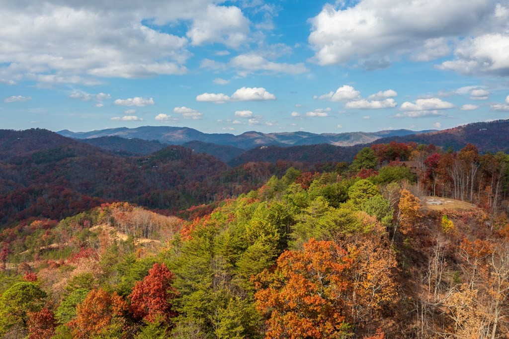 4 Happy Hollow Road Sevierville, TN 37862 - Photo 26 of 37 Gallery Image 26