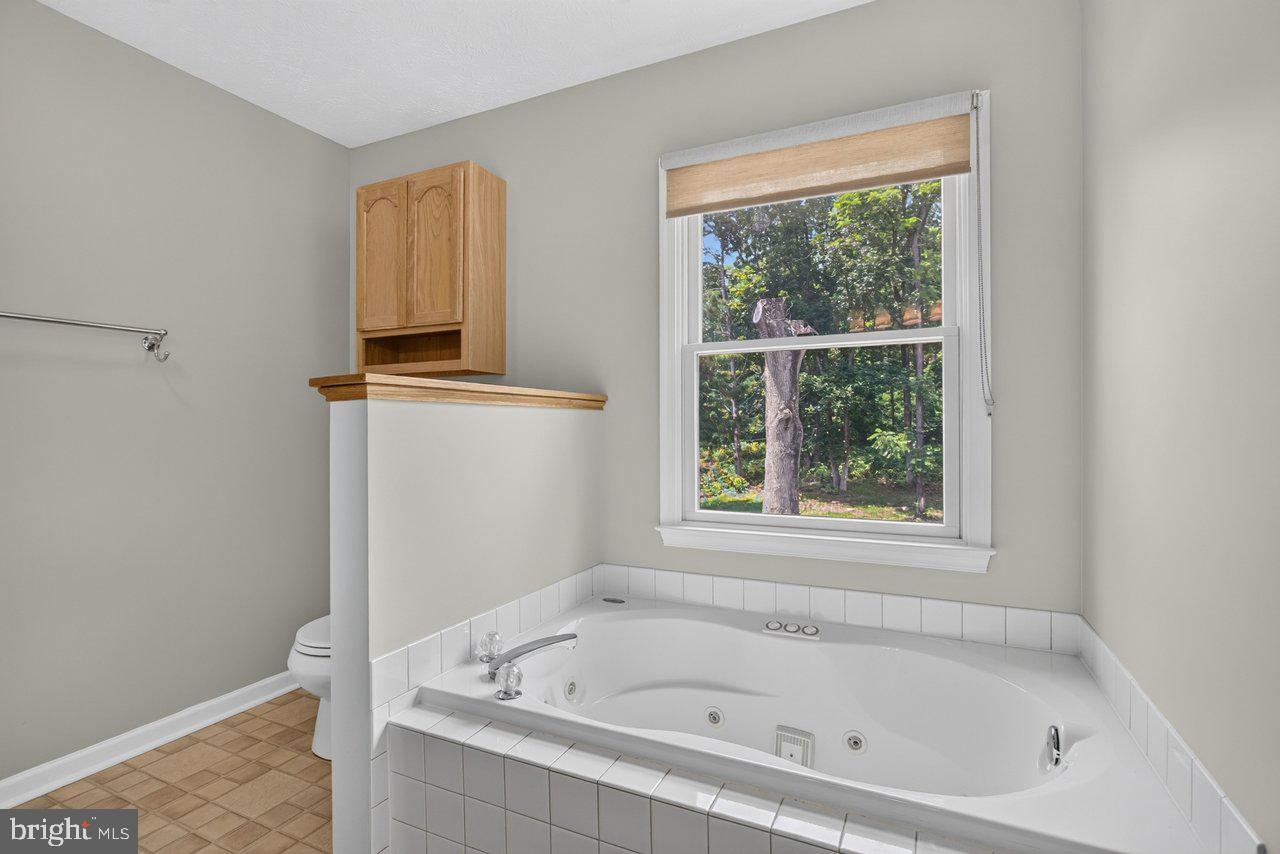 220 Oates Road Star Tannery, VA 22654 - Photo 42 of 109 Primary Bathroom