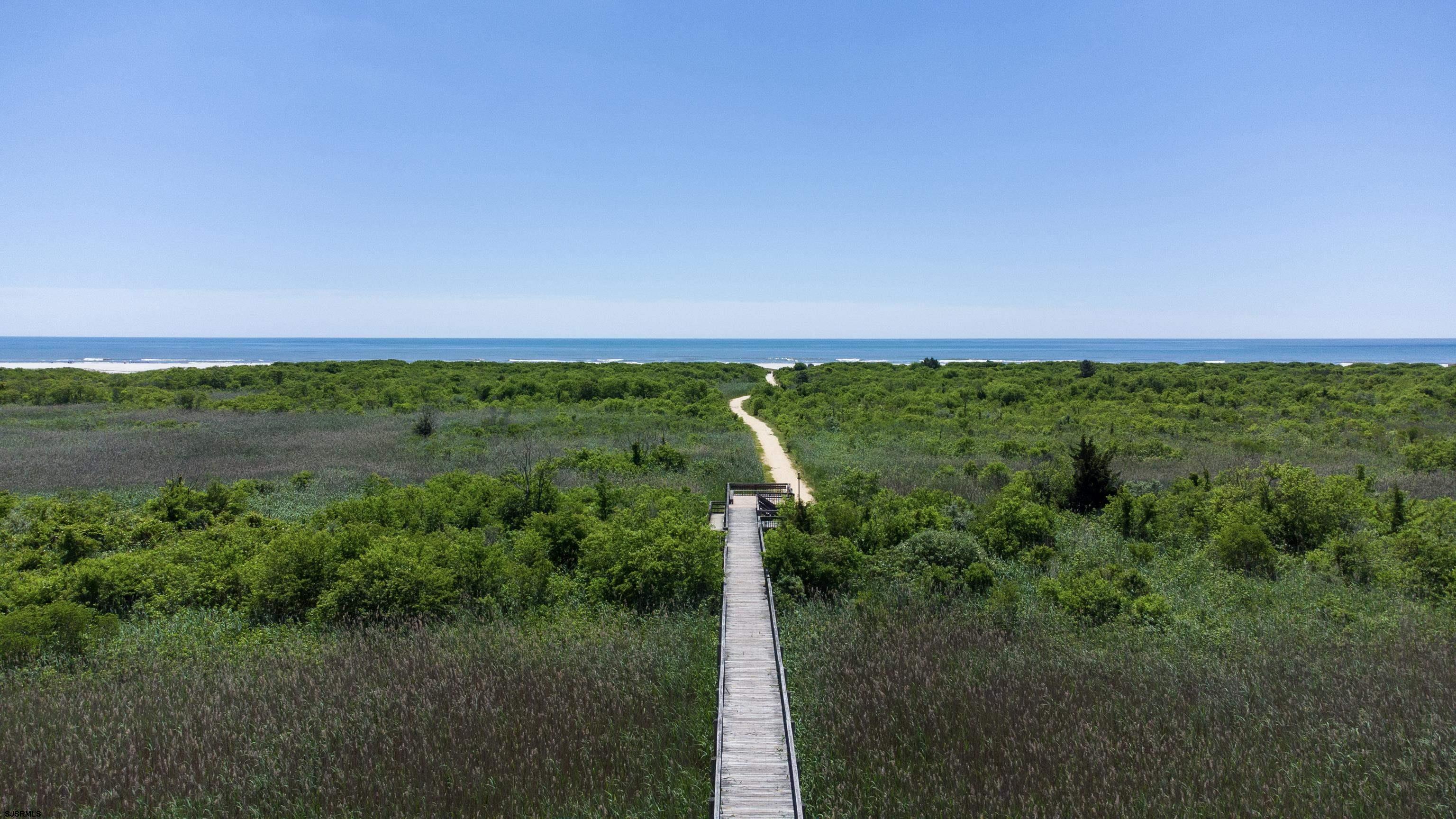 4901 Harbor Beach Boulevard, Unit P8 Brigantine, NJ 08203 - Photo 34 of 39 a view of a green field with lots of plants in the background