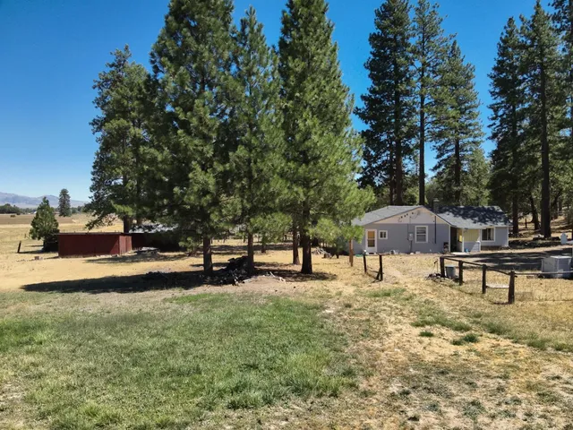 a view of a park with bench and trees