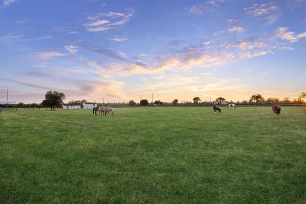 $1,400,000 | 40570 Wildlife Run, Hempstead, TX 77445