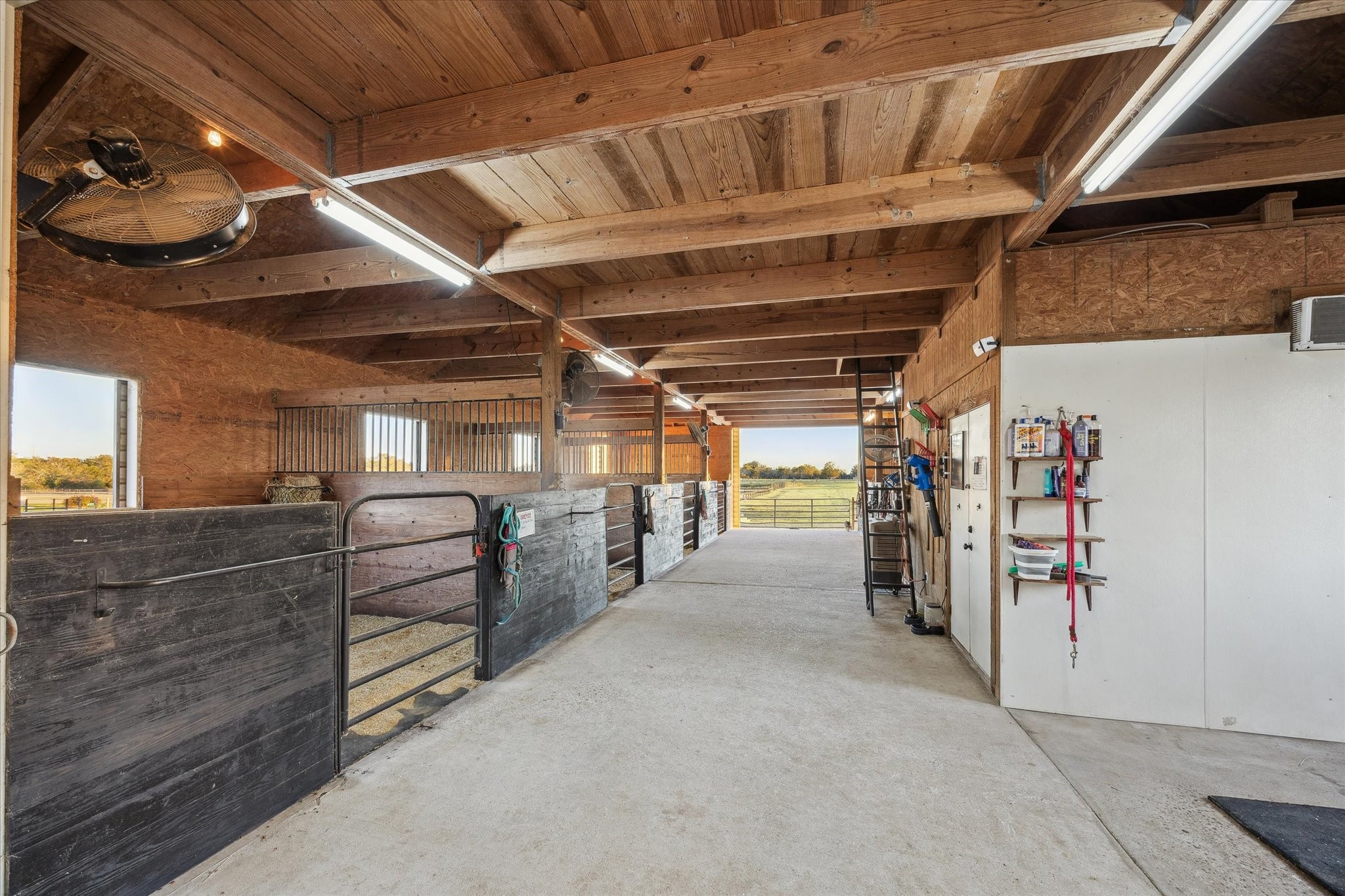 40570 Wildlife Run Hempstead, TX 77445 - Photo 28 of 43 This well-maintained barn offers multiple stalls sliding gates, and ample ventilation. Wide aisles and organized storage make daily chores a breeze perfect for any equestrian lifestyle.