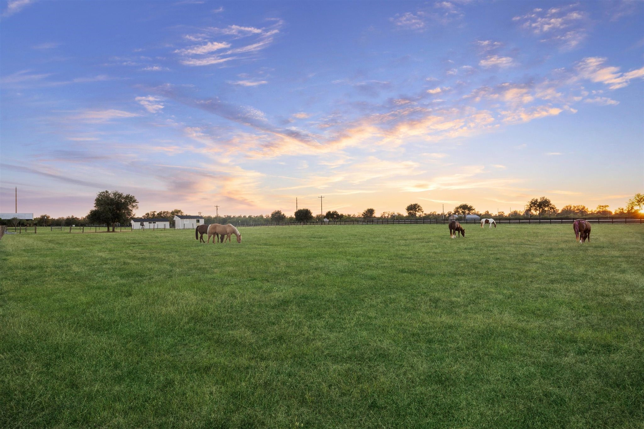 40570 Wildlife Run Hempstead, TX 77445 - Photo 39 of 43 Grazing peacefully beneath a glowing evening sky, the horses are at home in this wide, open pasture. Fenced and level, the field is ideal for livestock or equestrian use. This tranquil setting also supports the property's wildlife exemption, blending functional land use with the natural beauty and serenity of everyday life on the ranch.