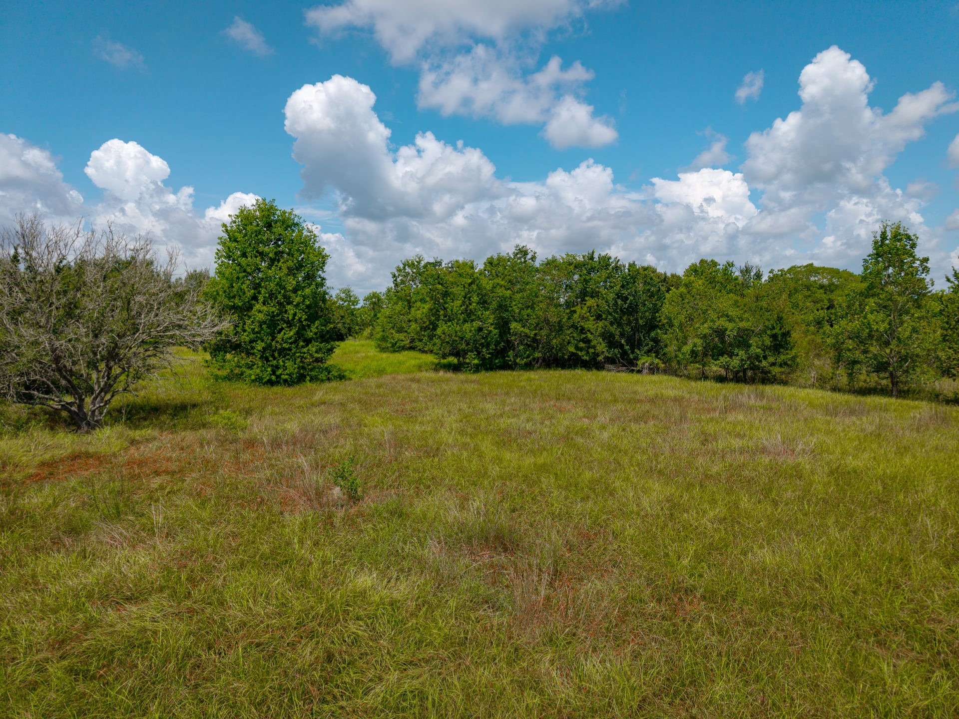 1301 Adams Road Bay City, TX 77414 - Photo 14 of 22 Gallery Image 14