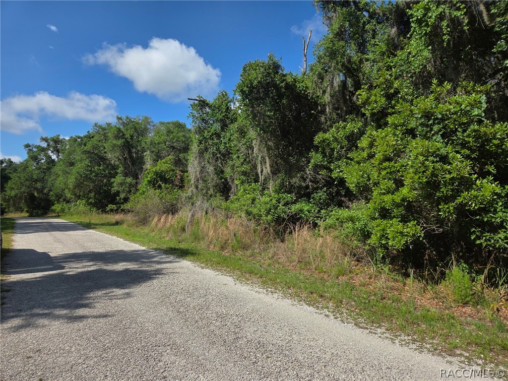 4240 South Kenvera Loop Inverness, FL 34450 - Photo 9 of 12