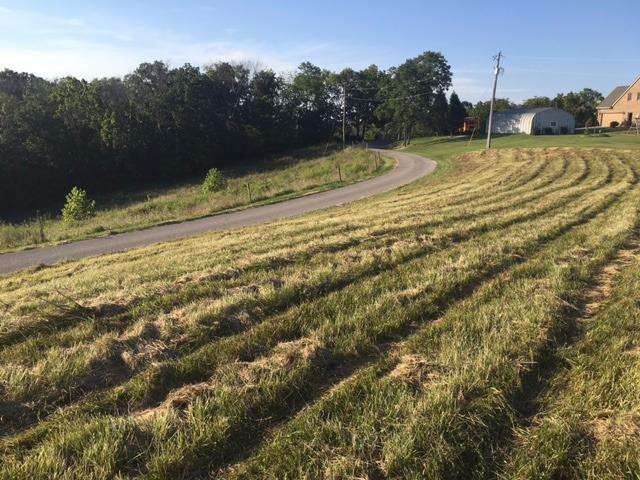 0 Kendall Road Dry Ridge, KY 41035 - Photo 3 of 5