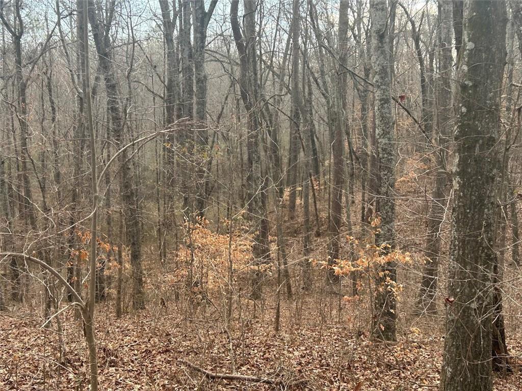 181 Riversong Road Carrollton, GA 30117 - Photo 15 of 67