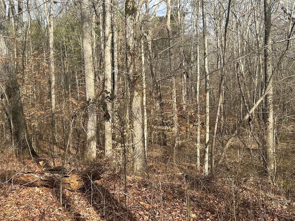 181 Riversong Road Carrollton, GA 30117 - Photo 17 of 67