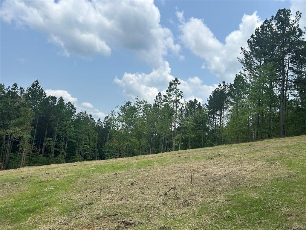 181 Riversong Road Carrollton, GA 30117 - Photo 23 of 67