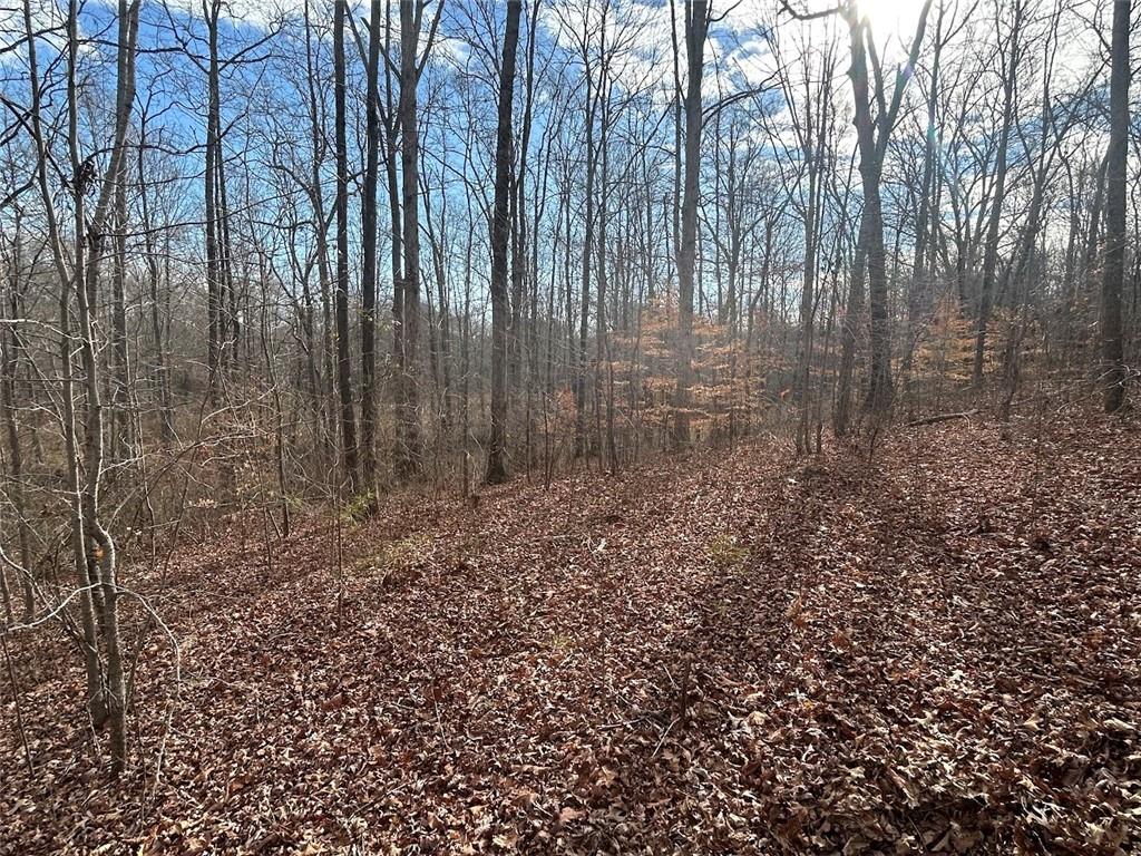 181 Riversong Road Carrollton, GA 30117 - Photo 32 of 67