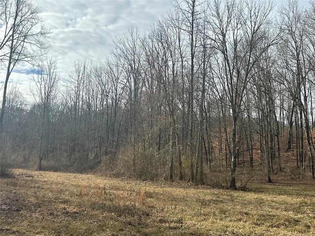 181 Riversong Road Carrollton, GA 30117 - Photo 34 of 67