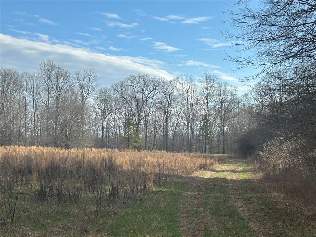 181 Riversong Road Carrollton, GA 30117 - Photo 36 of 67