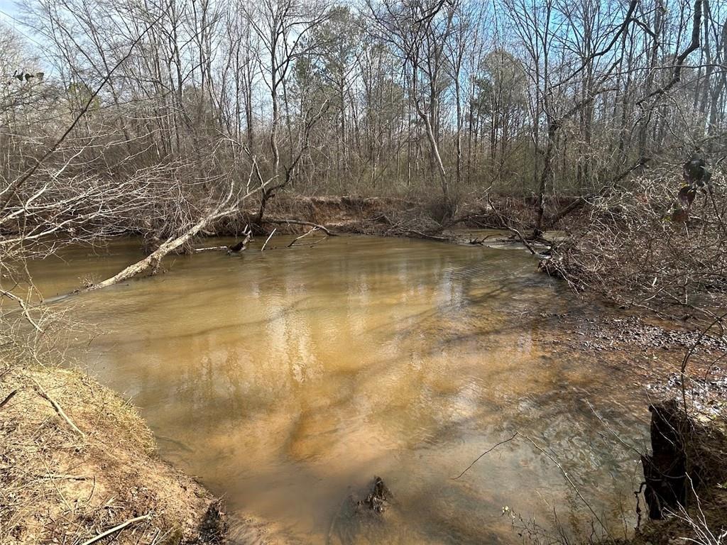 181 Riversong Road Carrollton, GA 30117 - Photo 38 of 67