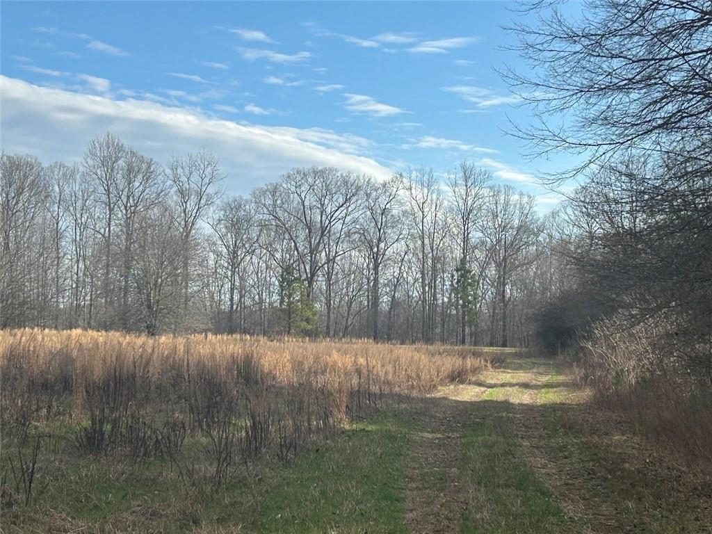 181 Riversong Road Carrollton, GA 30117 - Photo 44 of 67