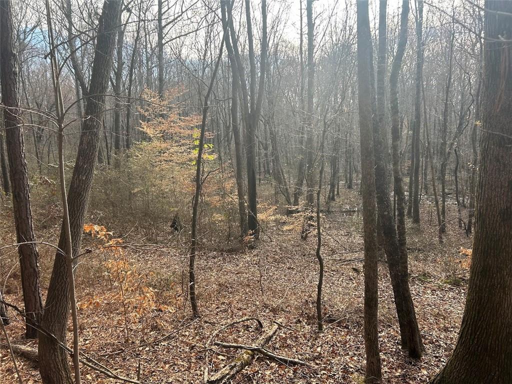 181 Riversong Road Carrollton, GA 30117 - Photo 46 of 67