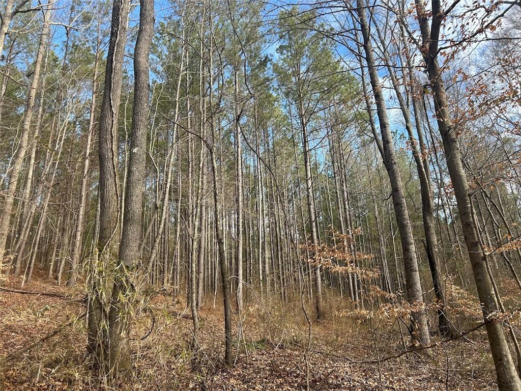 181 Riversong Road Carrollton, GA 30117 - Photo 48 of 67