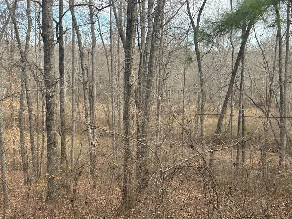 181 Riversong Road Carrollton, GA 30117 - Photo 54 of 67