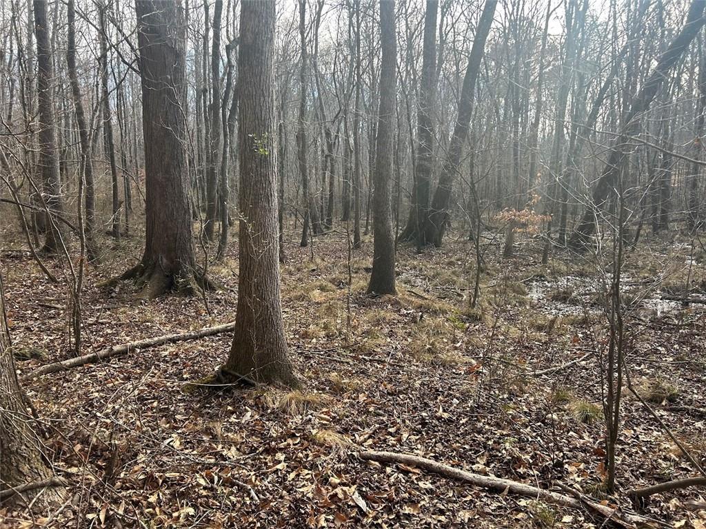 181 Riversong Road Carrollton, GA 30117 - Photo 64 of 67