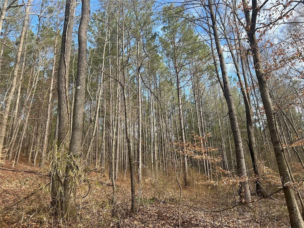 181 Riversong Road Carrollton, GA 30117 - Photo 65 of 67