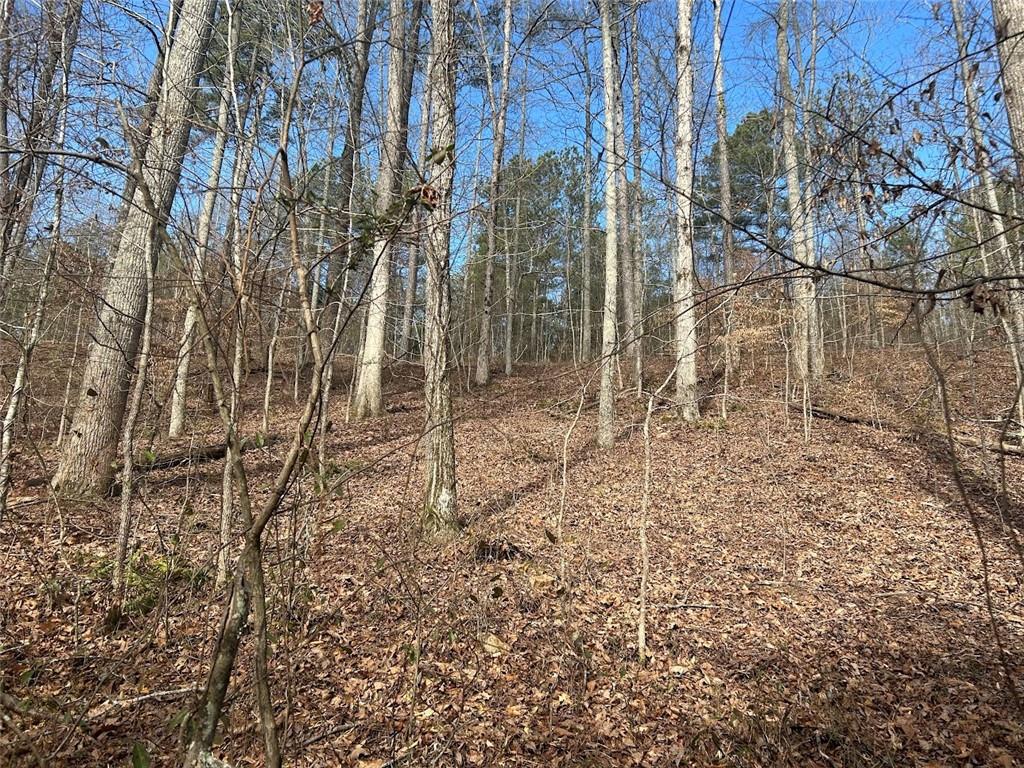 181 Riversong Road Carrollton, GA 30117 - Photo 66 of 67