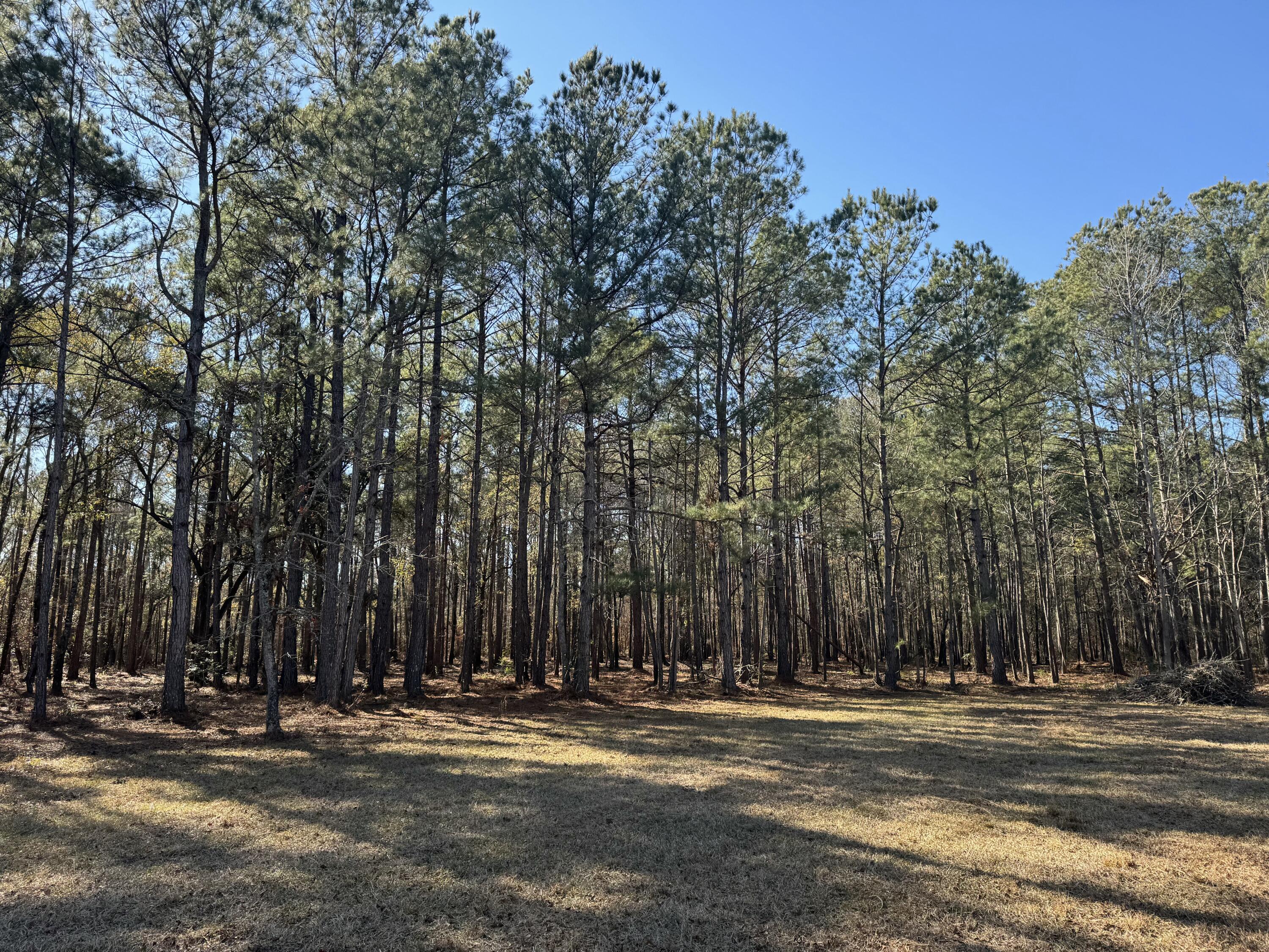 0 Brewer Road Summerville, SC 29483 - Photo 11 of 17 tempImageuQpUfL