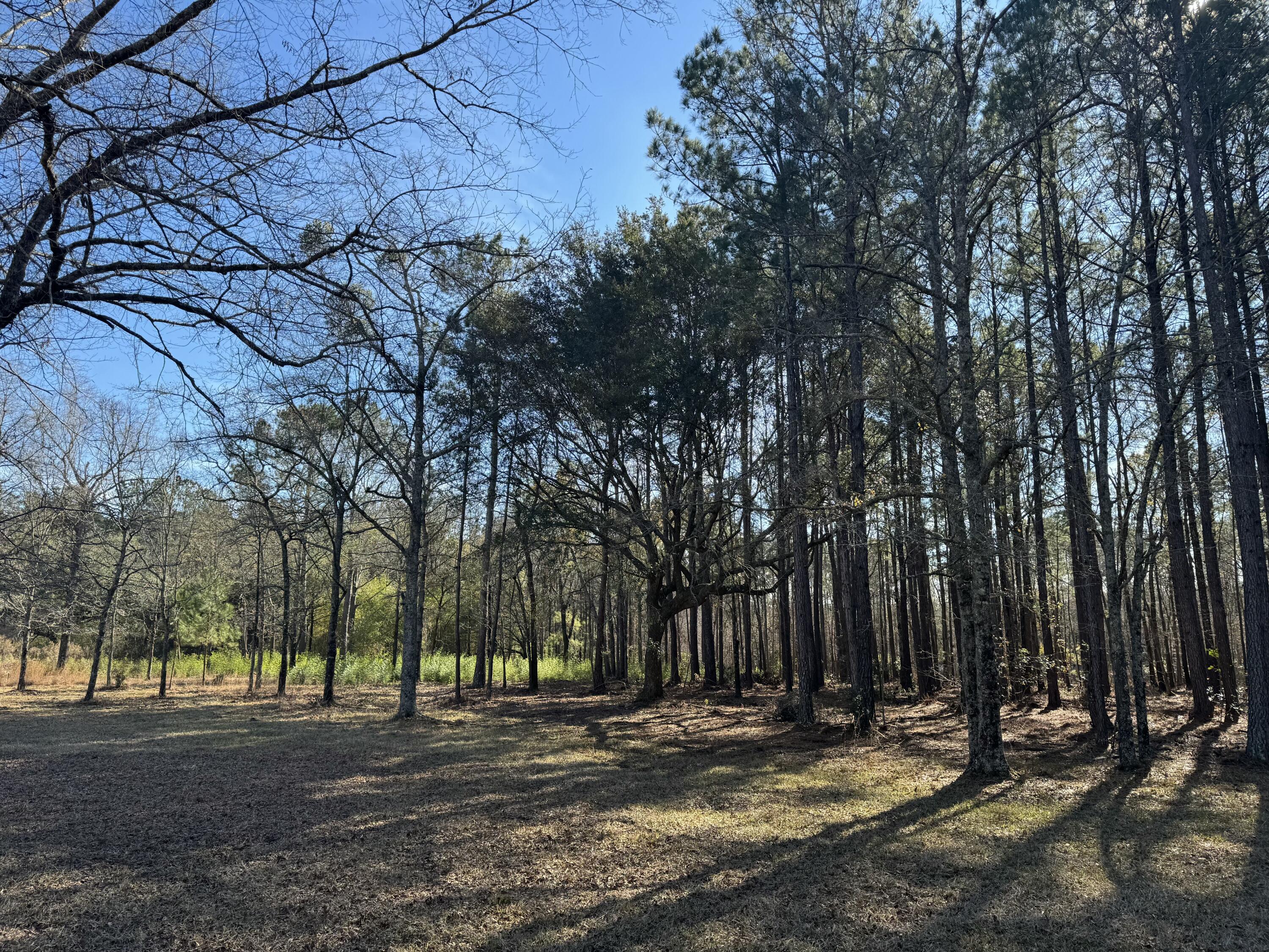 0 Brewer Road Summerville, SC 29483 - Photo 12 of 17 tempImageuKwoig
