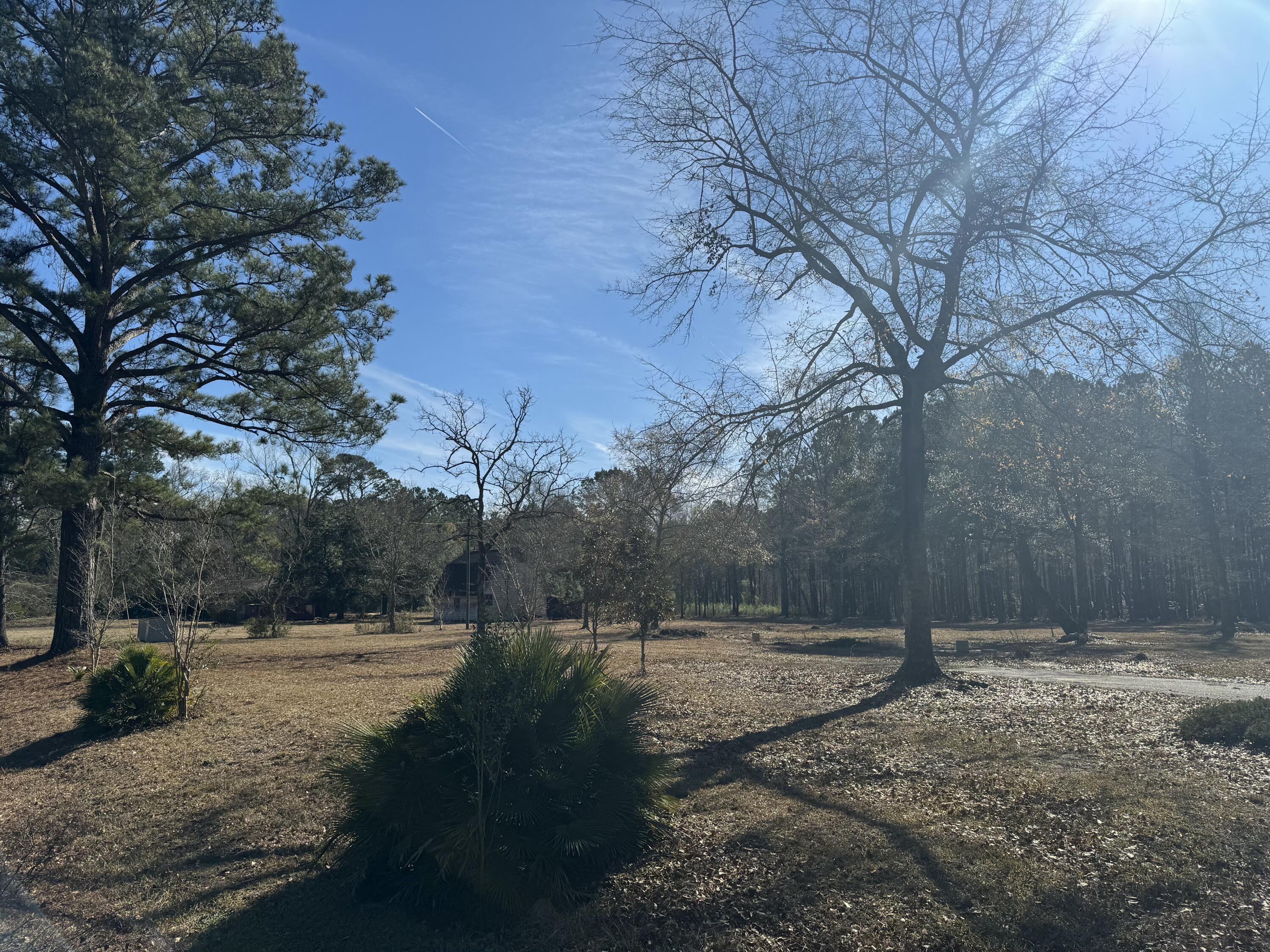 0 Brewer Road Summerville, SC 29483 - Photo 15 of 17 tempImageJbXrR7