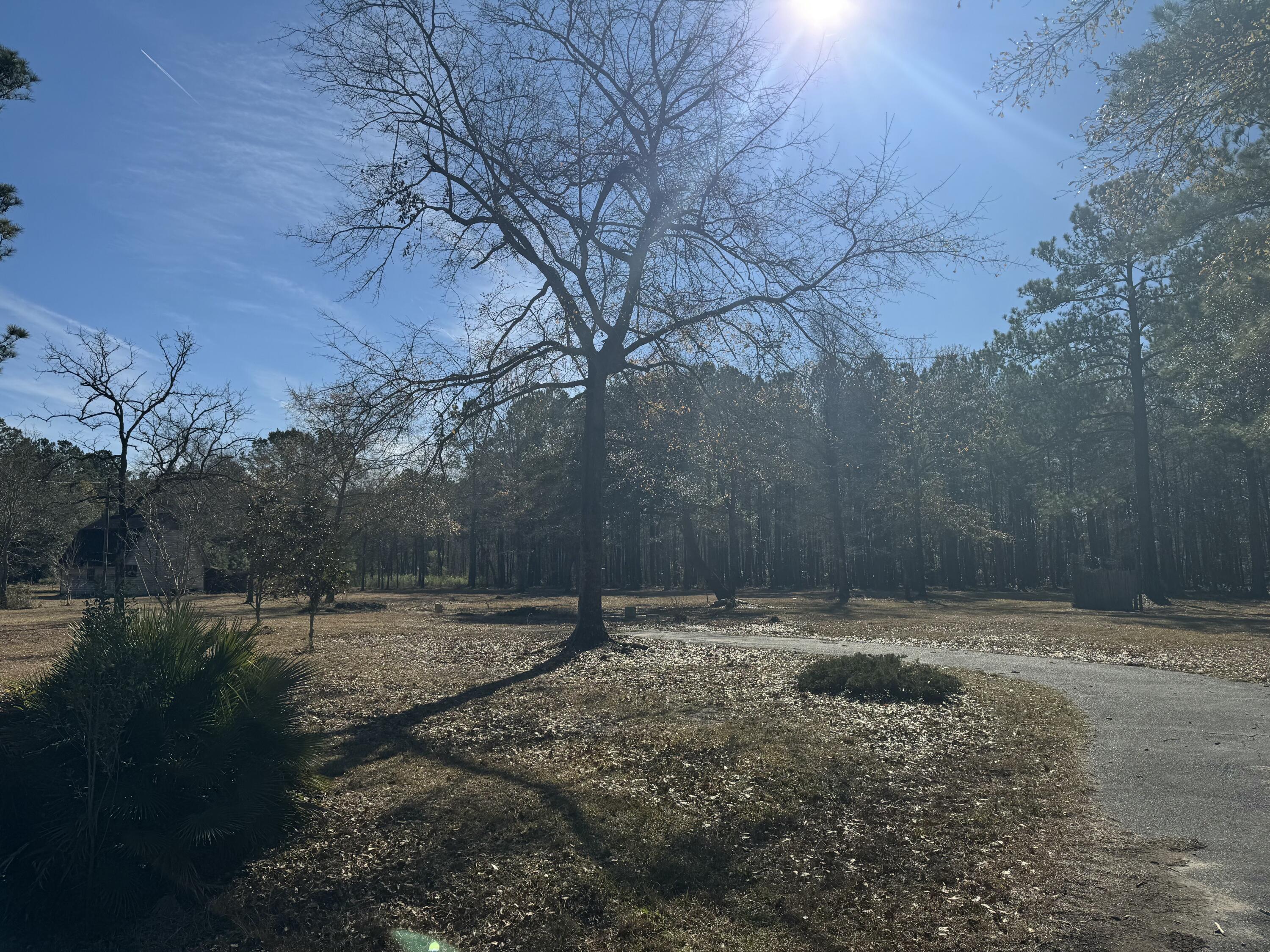 0 Brewer Road Summerville, SC 29483 - Photo 16 of 17 tempImageewdr8f