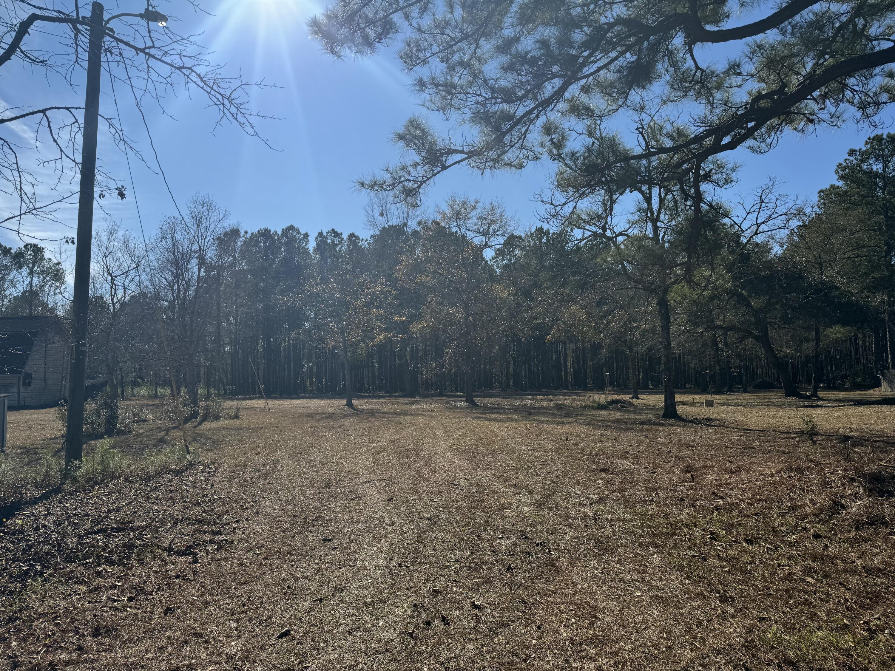 0 Brewer Road Summerville, SC 29483 - Photo 17 of 17 tempImagengaQVQ
