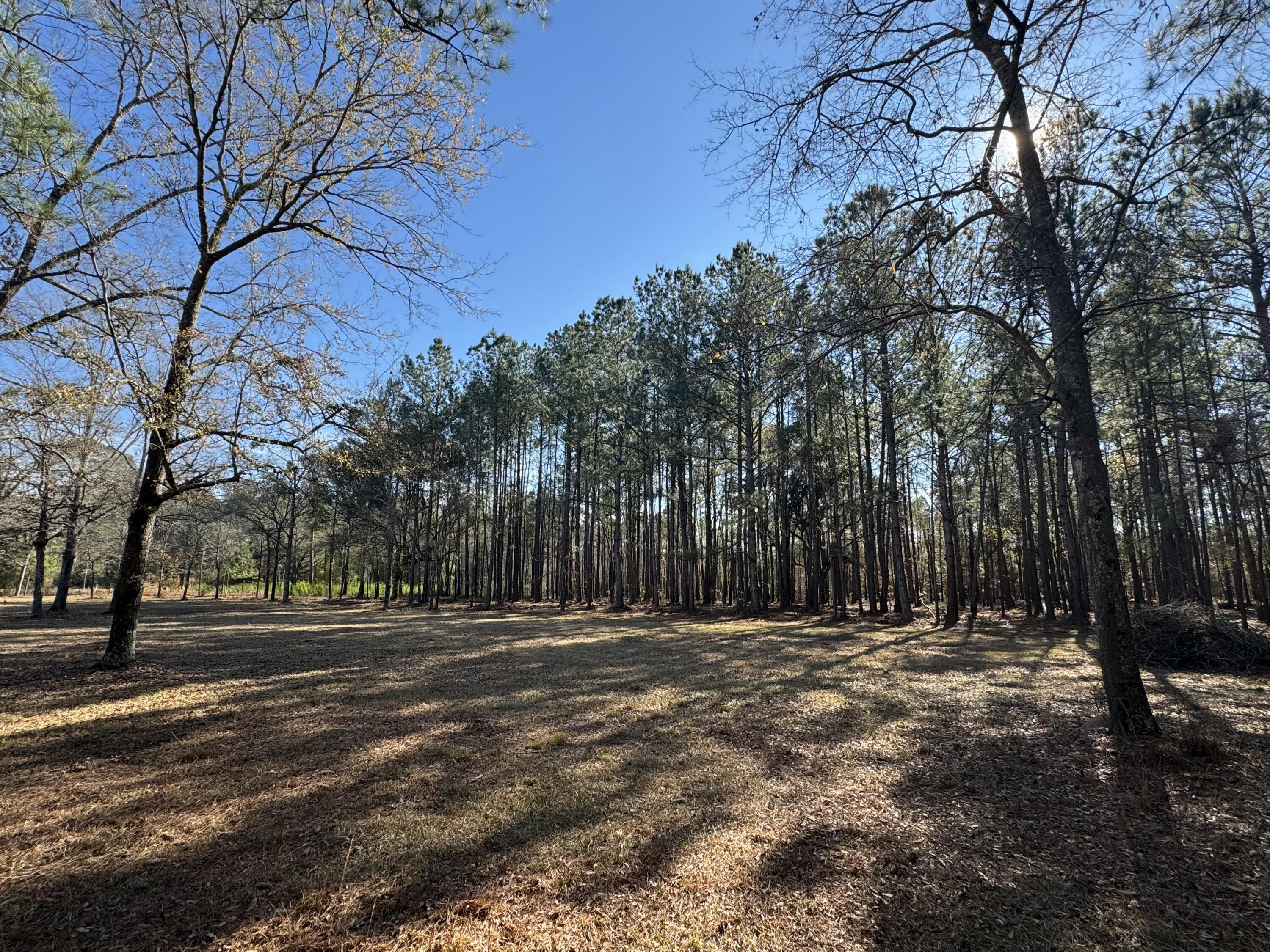 0 Brewer Road Summerville, SC 29483 - Photo 3 of 17 tempImagejWPuNx