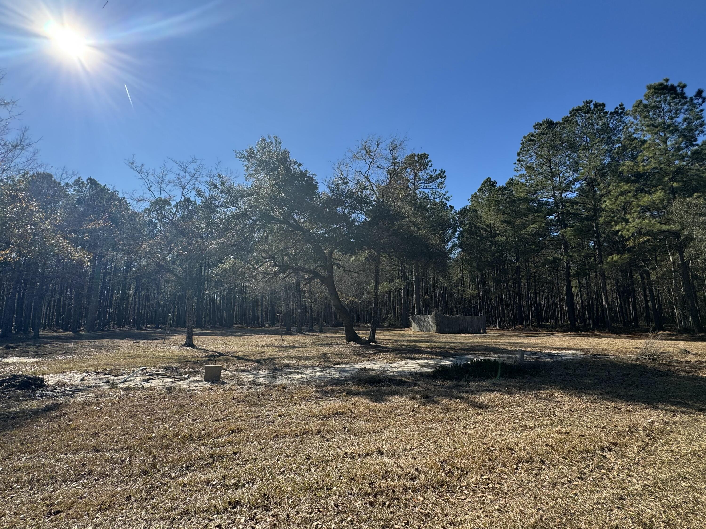 0 Brewer Road Summerville, SC 29483 - Photo 4 of 17 tempImagevMJAuX